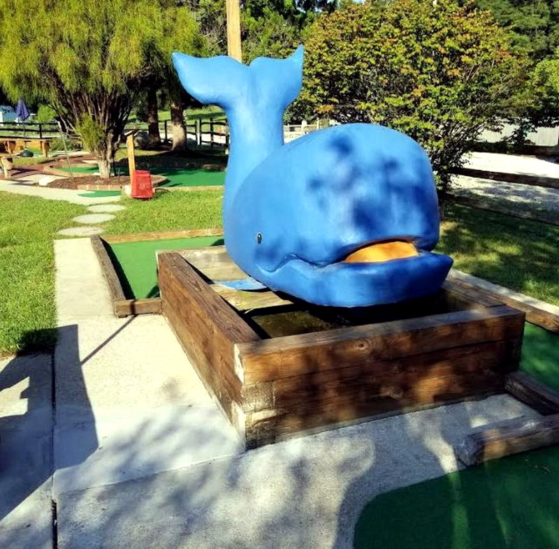 Pirates Port to Port Adventure Golf - From Web Listing (newer photo)